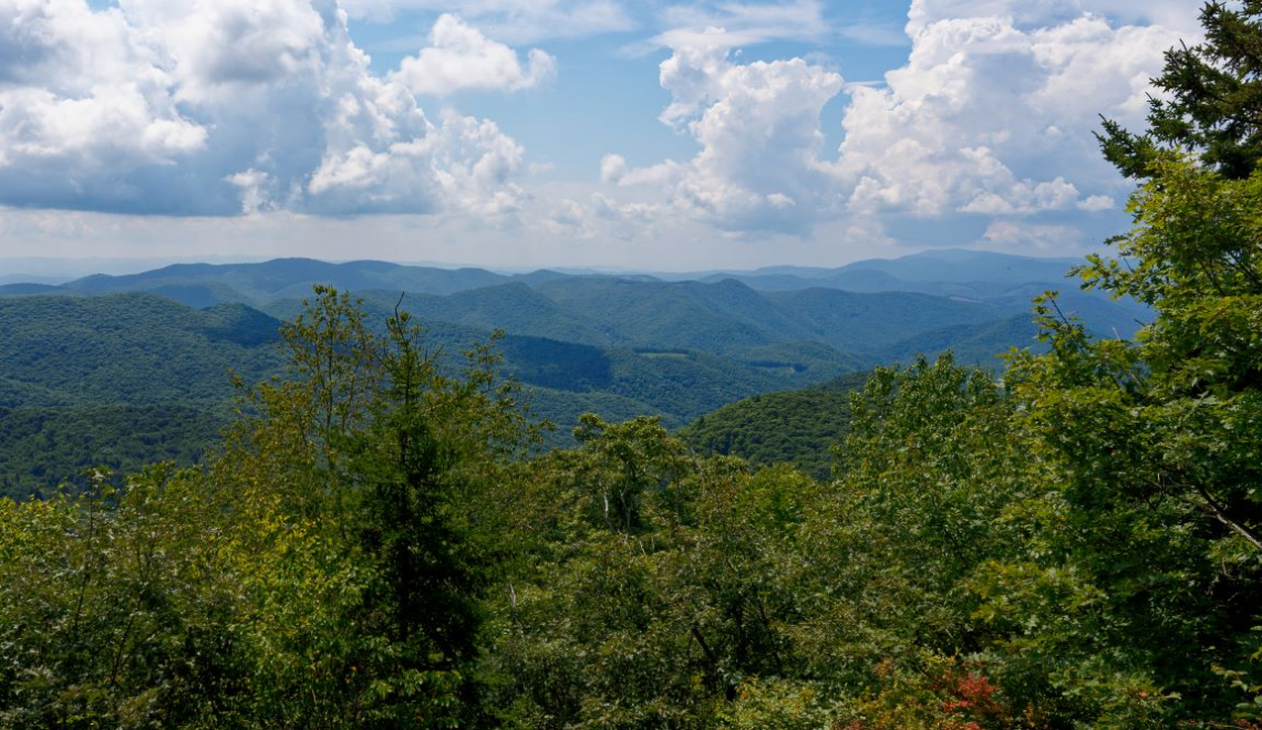 Wet Camp Gap – A High Mountain Meadow